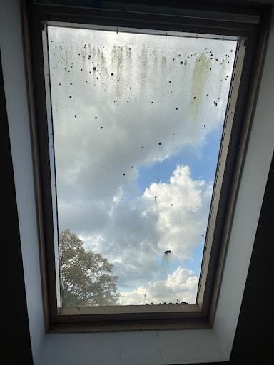 Pennycuick Collins Chartered Surveyors & Residential Lettings — Customer photo