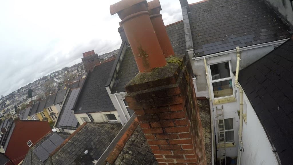 ICIRS Independent damp & timber surveys