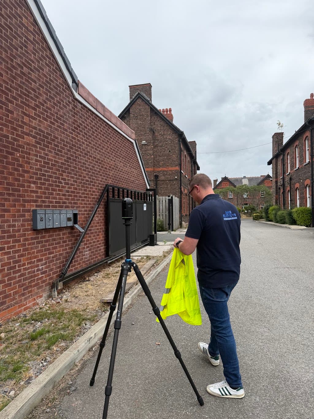 AMS SURVEYS