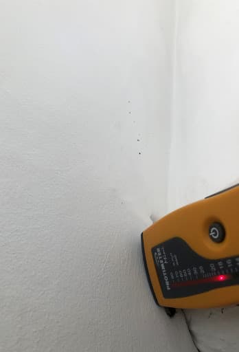 ZFN Chartered Surveyors — Customer photo
